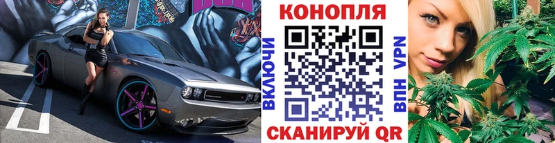 Купить наркотики цена Алейск ГАШИШ  Alpha PVP  Меф мяу мяу  Марихуана 