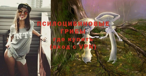 каннабис Аркадак
