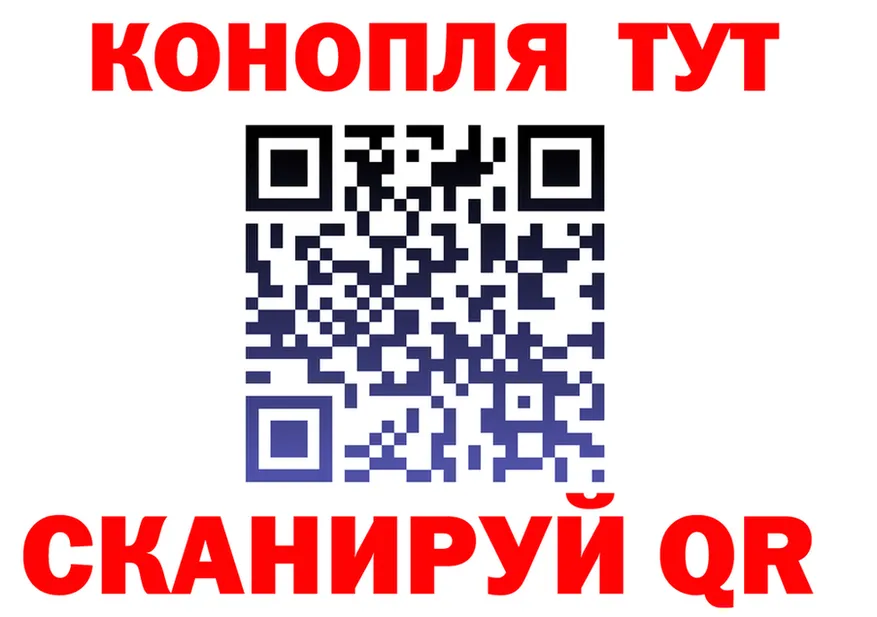 АМФ VHQ вход площадка KRAKEN Алейск
